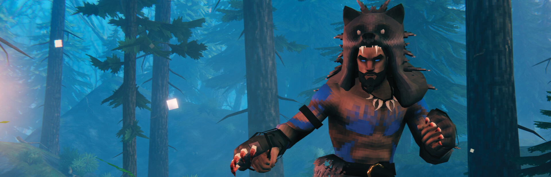 Univers Valheim